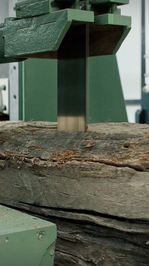 Ham olan, şekillenmeye başlar.